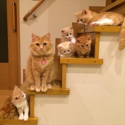 写真集「まいるんち」