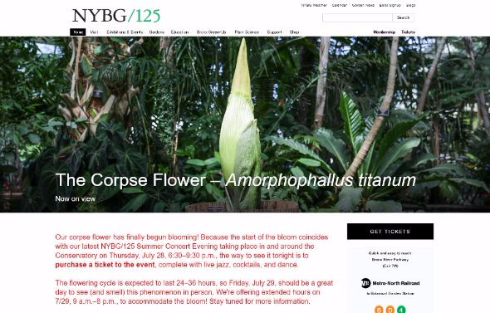 ショクダイオオコンニャク 開花 中継 ニューヨーク植物園