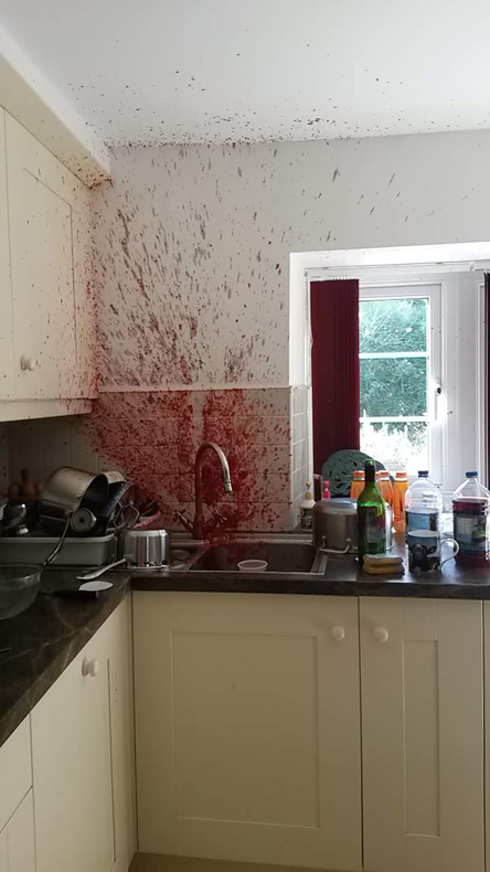 ギャアアアアア！　調理に失敗したラズベリージュースでキッチンが凄惨な事件現場のように……