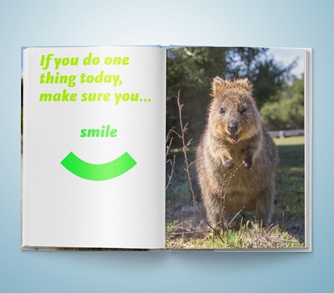 クアッカワラビー