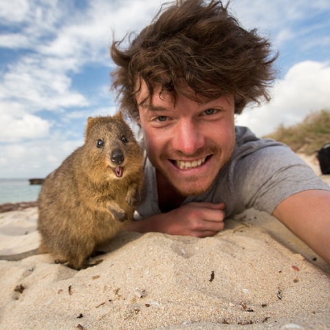 クアッカワラビー