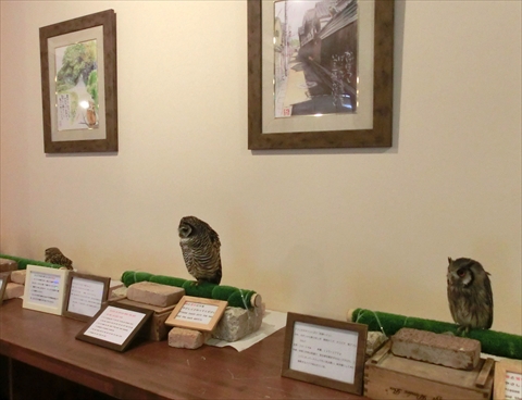 ふくろうカフェならまち