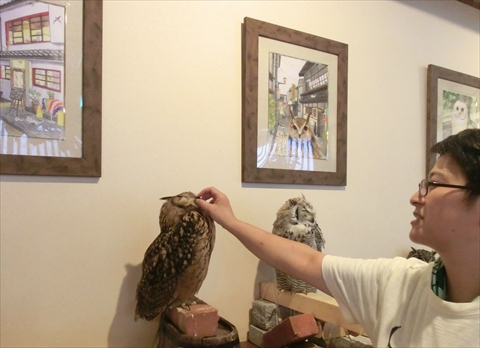 ふくろうカフェならまち