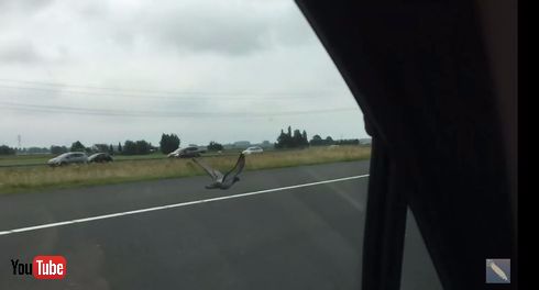 こうそくいどう