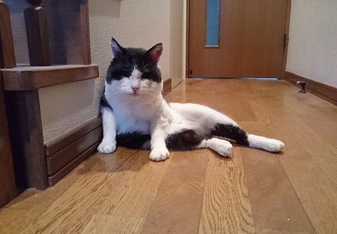 ねとらぼ生物部編集長