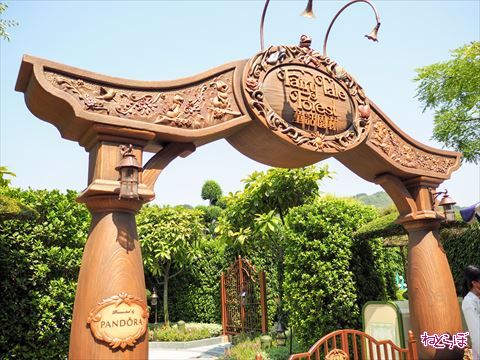 フェアリーテイルフォレスト