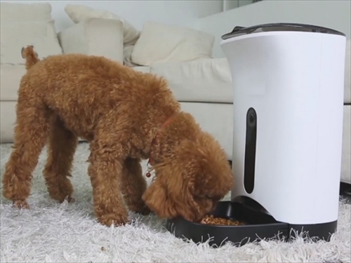 カリカリマシーンSP