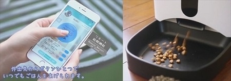 カリカリマシーンSP