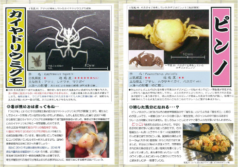 同人誌「魚屋が出会う身近な魚の寄生虫」