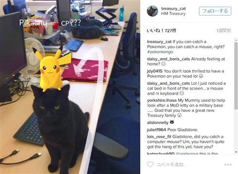 イギリス財務省に待望の公務員猫が着任