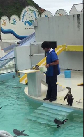 おたる水族館