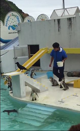 おたる水族館