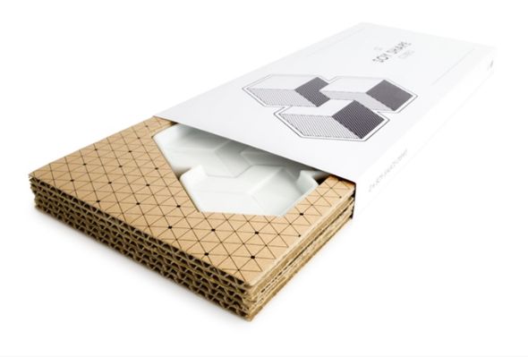 資金調達中のSoy Shape