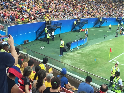 五輪サッカー猫乱入