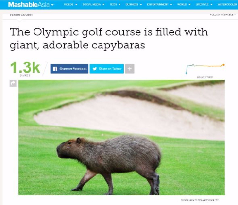 リオ五輪 カピバラ ゴルフコース