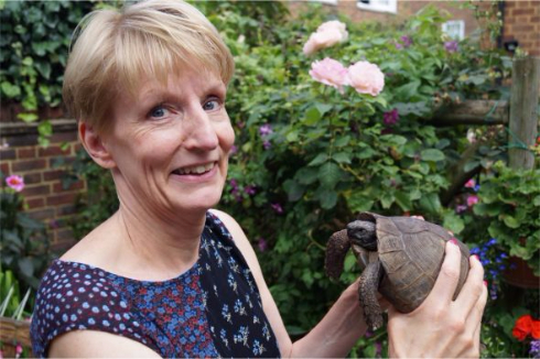 亀 回収 ゴミ ズマ