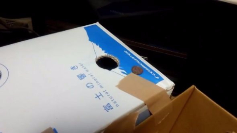 猫 貯金箱 再現 手