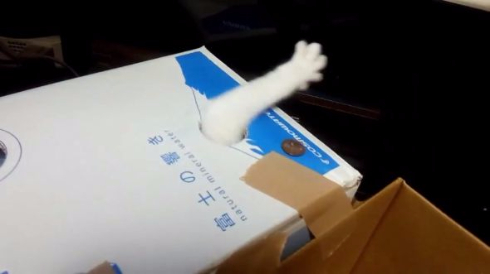 猫 貯金箱 再現 手