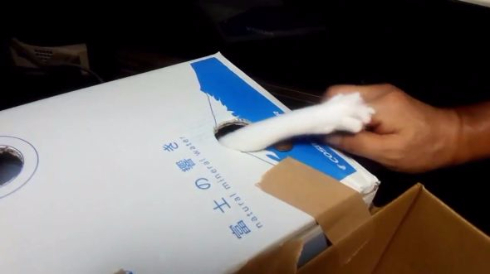 猫 貯金箱 再現 手