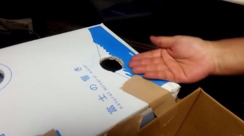 猫 貯金箱 再現 手