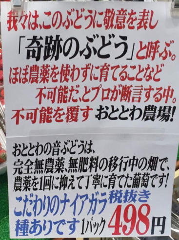 おもしろポップ