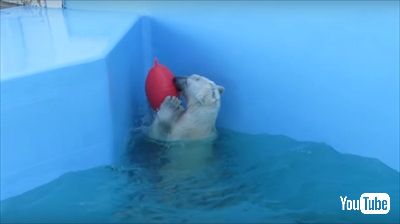 釧路市動物園ミルク