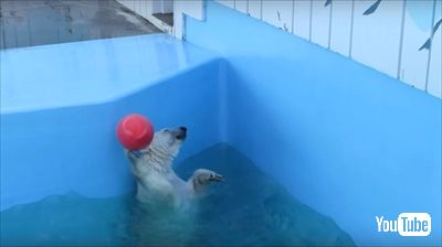 釧路市動物園ミルク