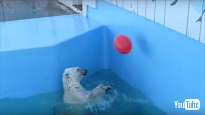 釧路市動物園ミルク