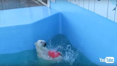 釧路市動物園ミルク