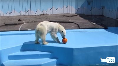 釧路市動物園ミルク