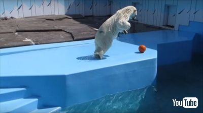 釧路市動物園ミルク