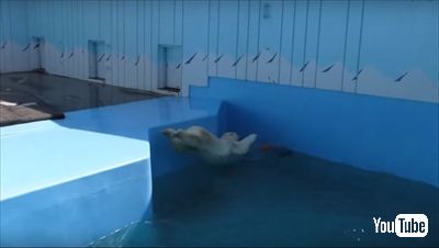 釧路市動物園ミルク