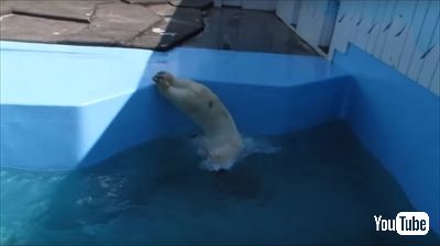 釧路市動物園ミルク
