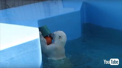 釧路市動物園ミルク