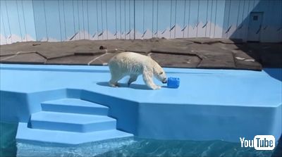釧路市動物園ミルク