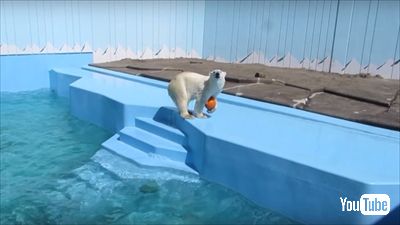 釧路市動物園ミルク