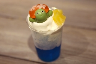 すみだ水族館「ウミガメ展」