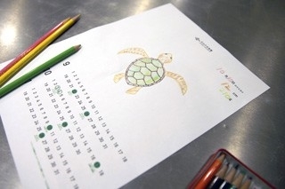 すみだ水族館「ウミガメ展」