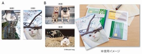 岩合光昭ねこ切手
