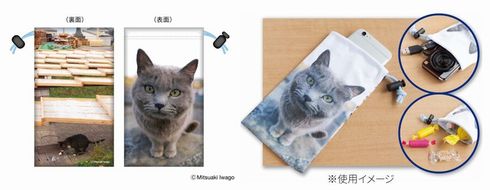 岩合光昭ねこ切手