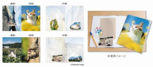 岩合光昭ねこ切手