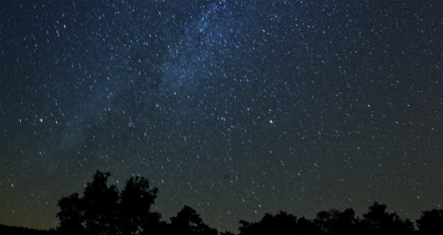 天井のないホテル