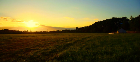 天井のないホテル