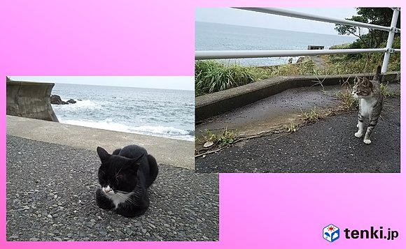 台風10号