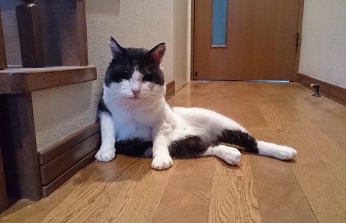 ねとらぼ生物部編集長