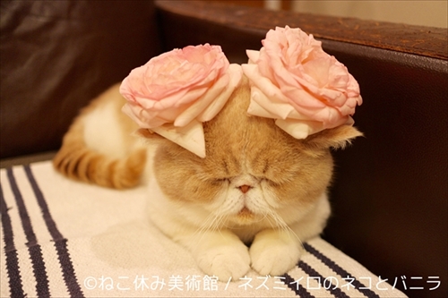 ねこ休み美術館