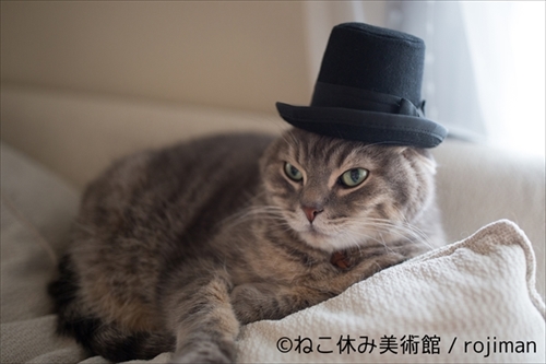 ねこ休み美術館