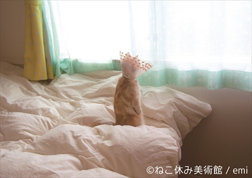 ねこ休み美術館
