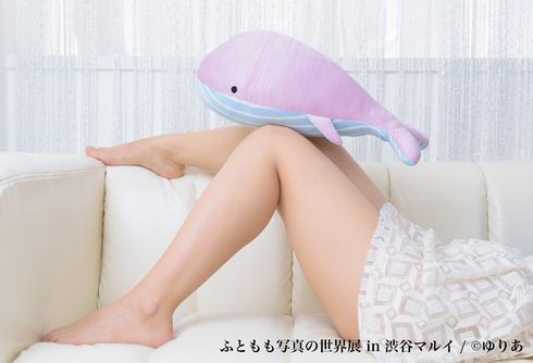 ふともも写真の世界展