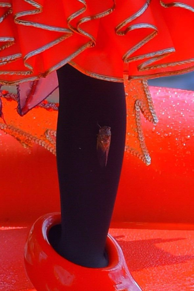 ミニー 蝉 ディズニー ショー